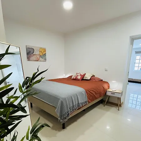 Carreira Vicente By Olá Madeira