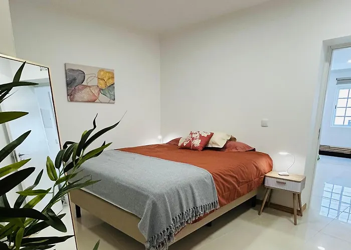 Carreira Vicente By Ola Madeira